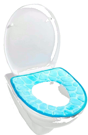 another memory foam product, used as a toilet seat.