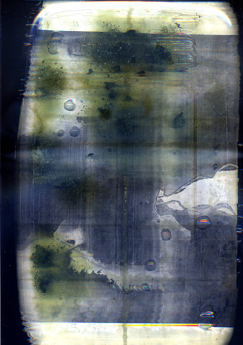 scan image. the label print scanned in the water with green fizzy clumps, the water looks really old now, like algae plants
