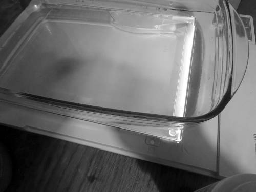 glass lasagna oven form on opened flatbed scanner