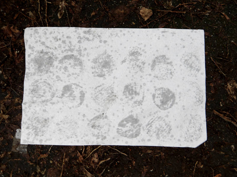 wet blanc sheet of paper on the sidewalk; sombody made a drawing with wet dirt spots of circles and dots