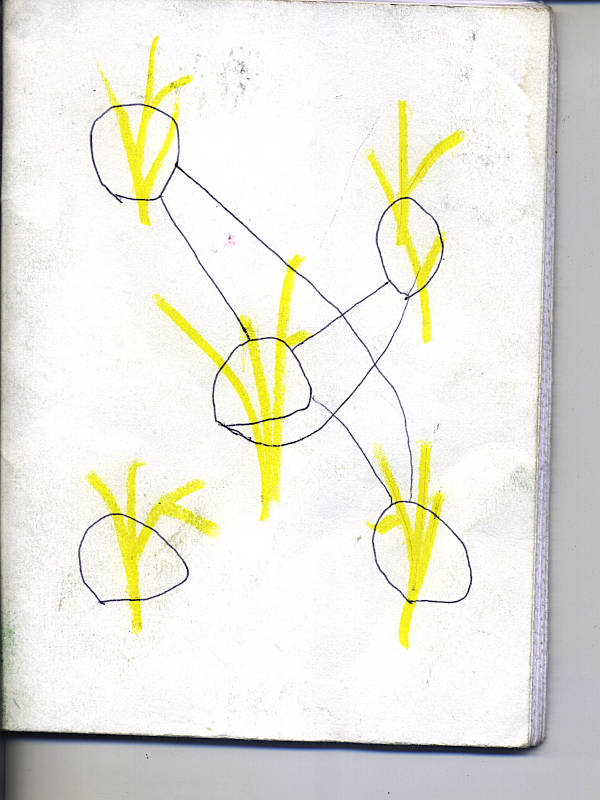 Yellow Plants. All of them are connected with lines, but one. Drawing with color pencils.