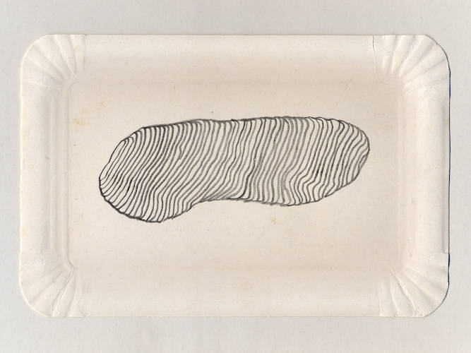 lump with topographic line like hatching on a paper plate