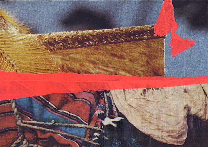 colorful cloth and an insect (moth?), collage with printed matter