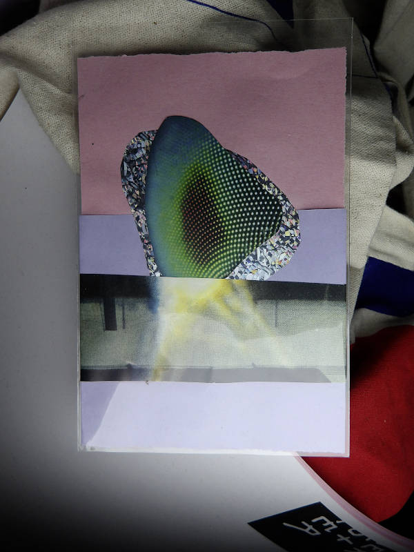 insect eye light ray situation