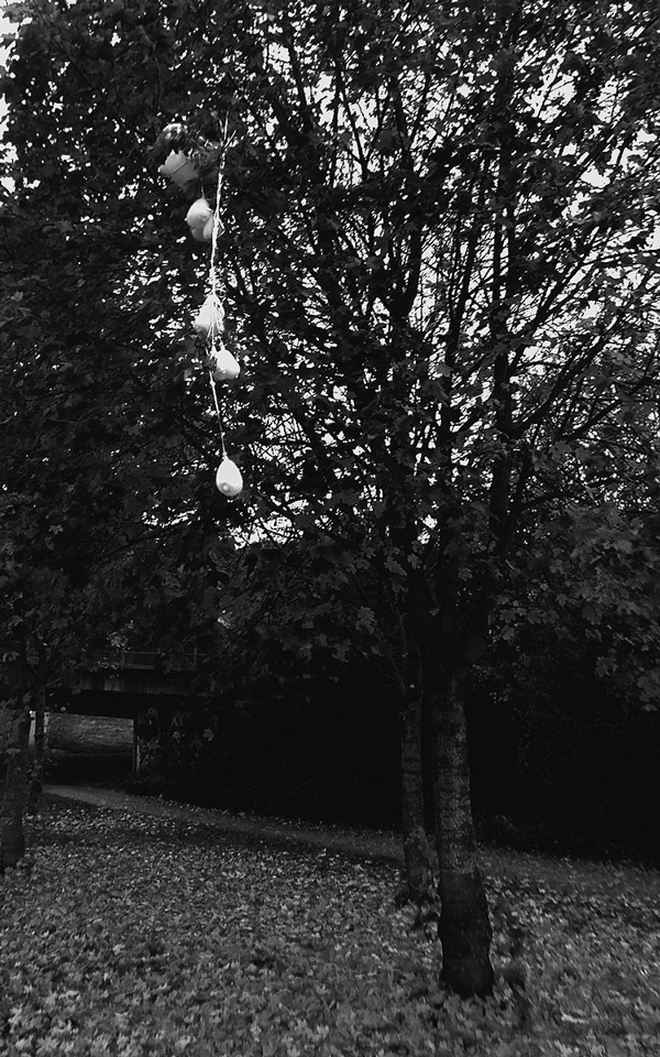 lost heart balloons in a tree
